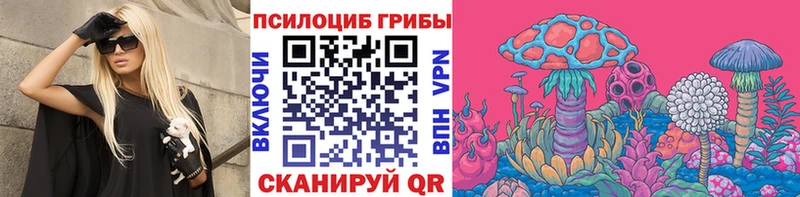 хочу наркоту  Ростов-на-Дону  Псилоцибиновые грибы Psilocybe 
